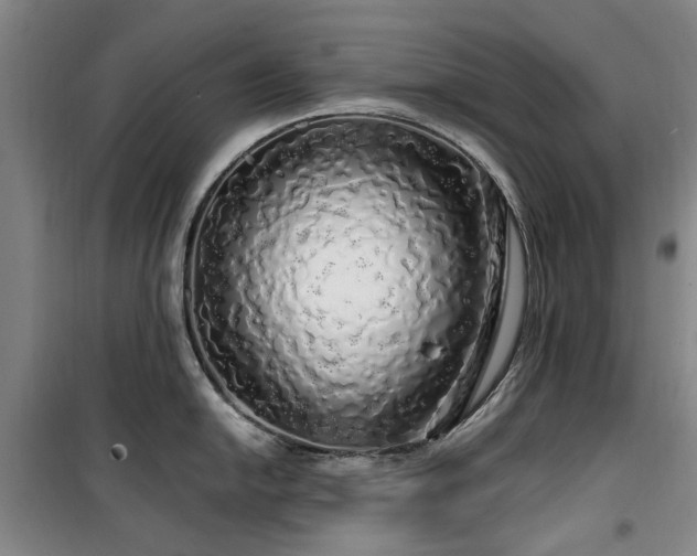 X0000100201054200805301306