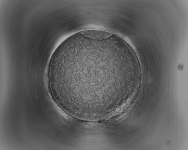 X0000100201056200805301306