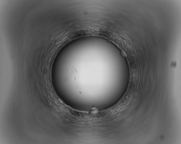 X0000100201057200805301305