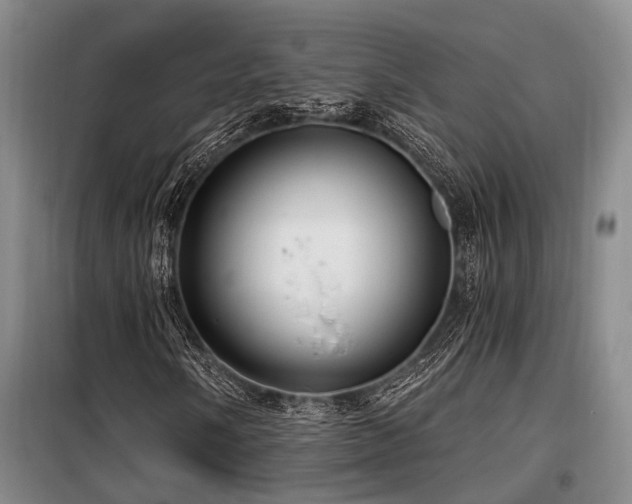 X0000100201058200805301305