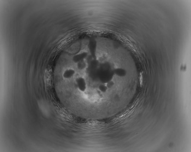 X0000100201059200805301305