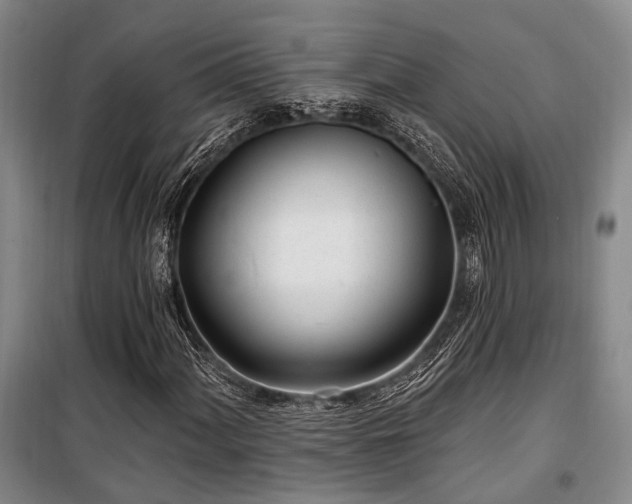 X0000100201060200805301305