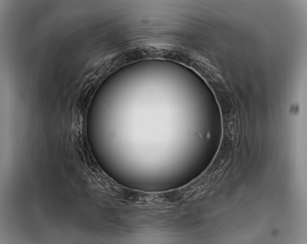 X0000100201061200805301305