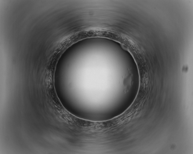 X0000100201062200805301305