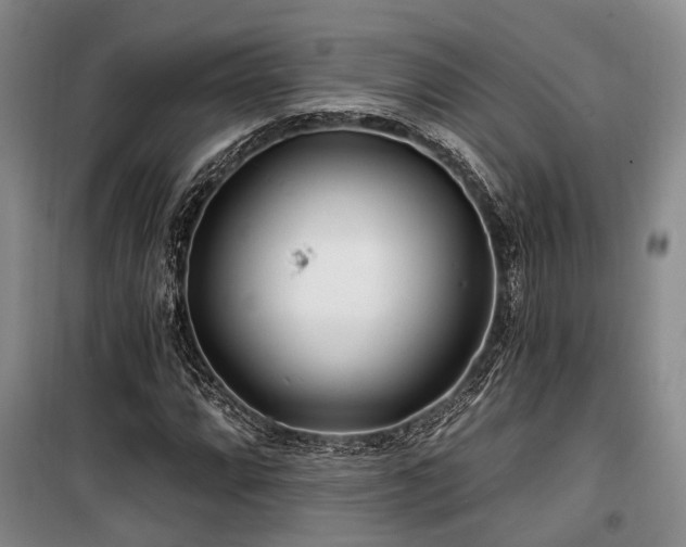 X0000100201064200805301305