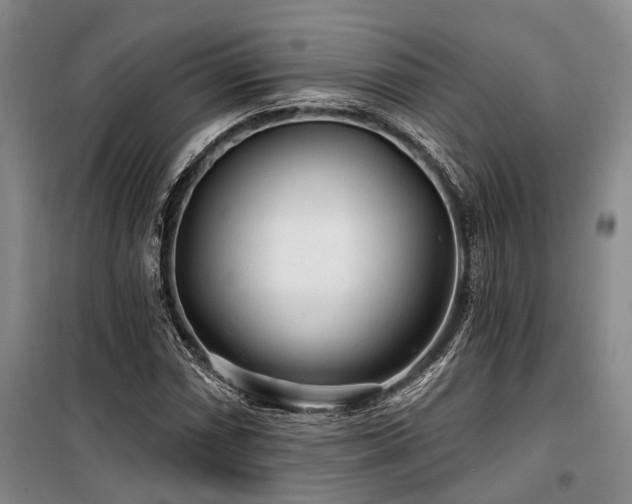 X0000100201066200805301305