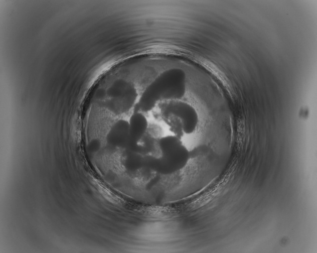 X0000100201067200805301305