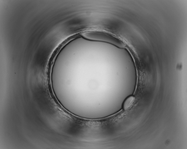 X0000100201068200805301305