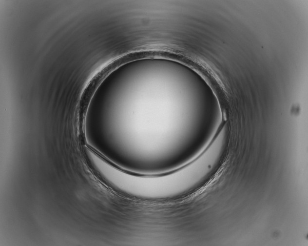 X0000100201069200805301305