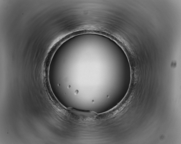 X0000100201070200805301305