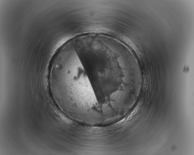 X0000100201071200805301305