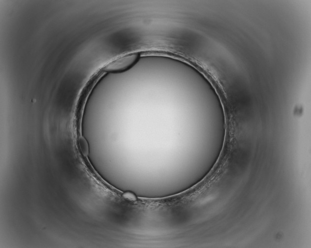 X0000100201072200805301305