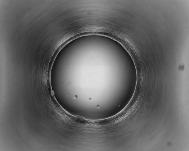 X0000100201073200805301305