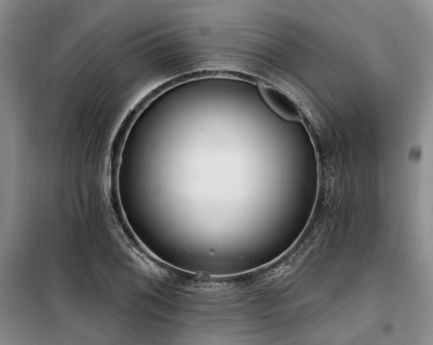 X0000100201076200805301305