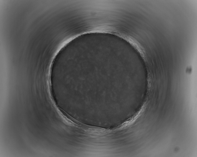 X0000100201077200805301305