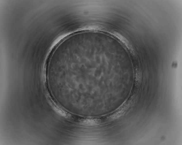 X0000100201078200805301305