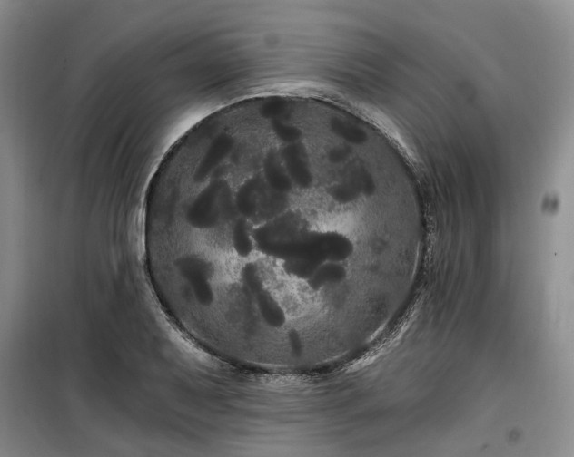 X0000100201079200805301305