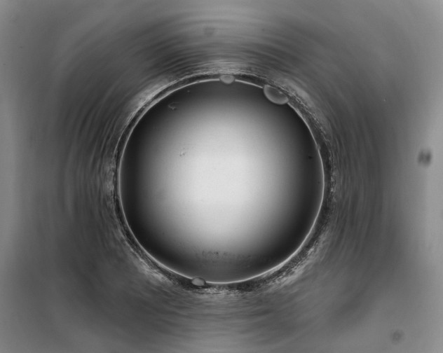 X0000100201081200805301305