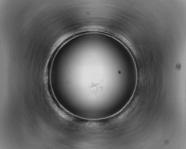 X0000100201082200805301305