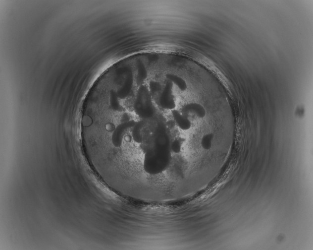 X0000100201083200805301305