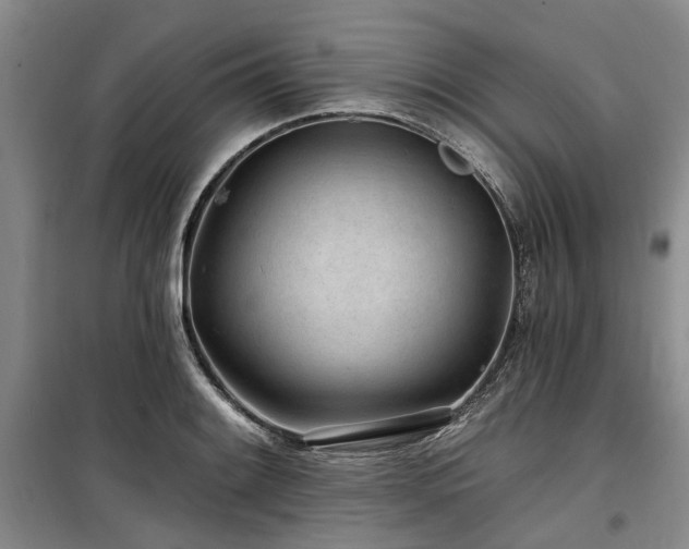 X0000100201084200805301305