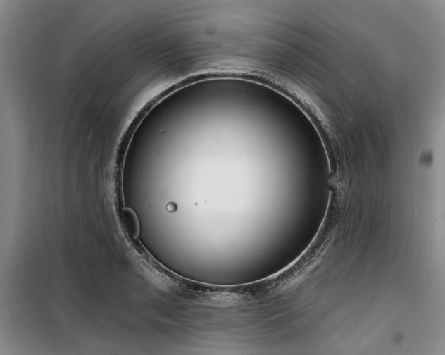 X0000100201085200805301305