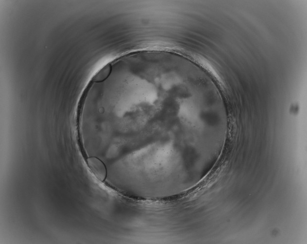 X0000100201087200805301305