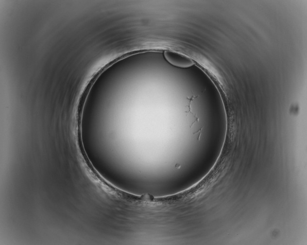 X0000100201088200805301305