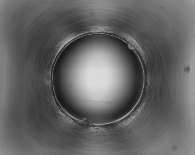 X0000100201089200805301305