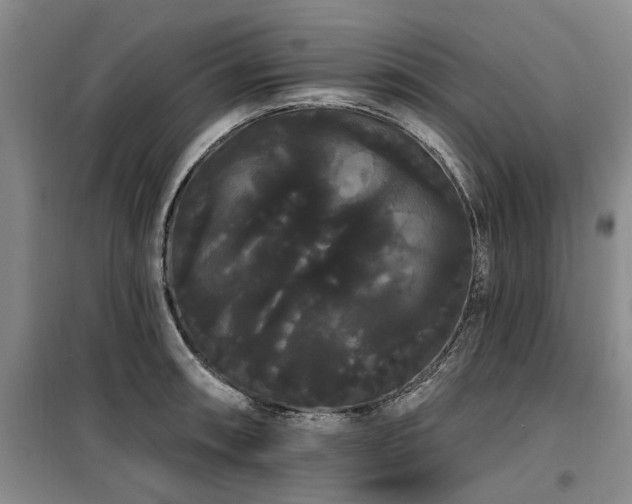 X0000100201090200805301305