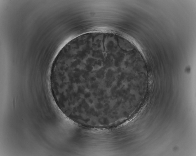 X0000100201091200805301305