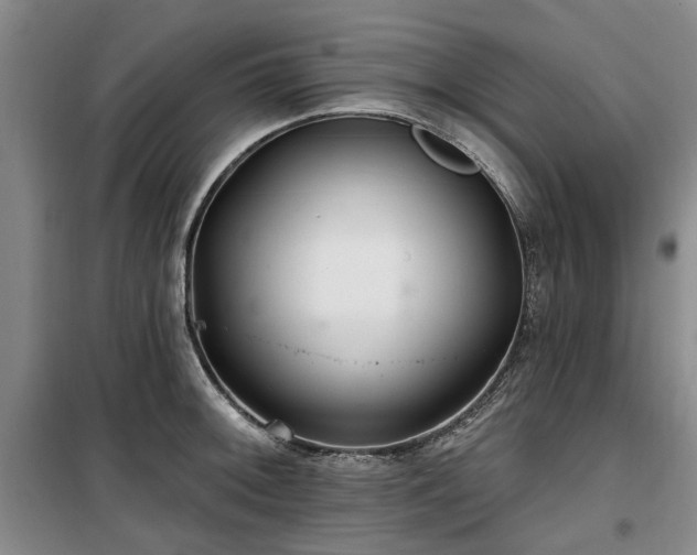 X0000100201092200805301304