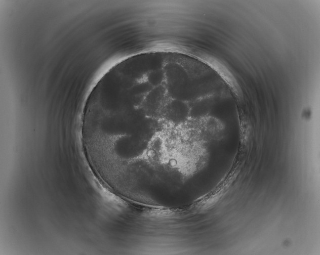 X0000100201094200805301304