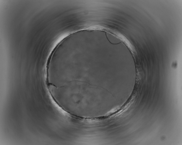 X0000100201095200805301304