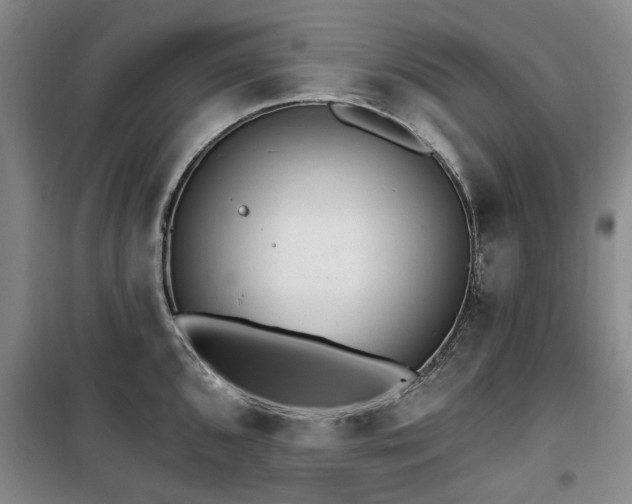 X0000100201096200805301304