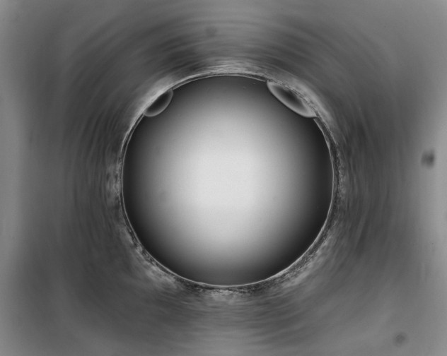 X0000100201097200805301304