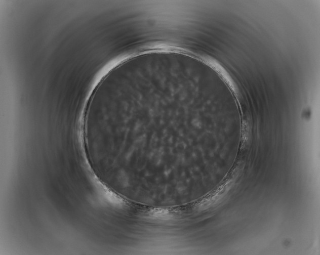 X0000100201098200805301304