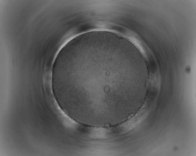 X0000100201100200805301304