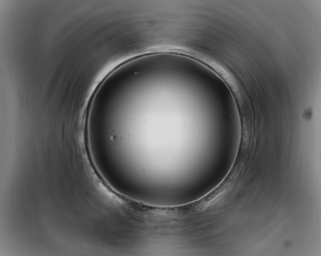 X0000100201102200805301304