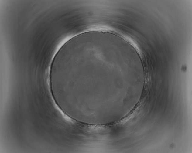 X0000100201103200805301304