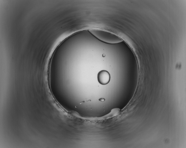 X0000100201104200805301304