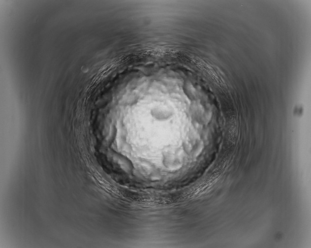 X0000100201105200805301303