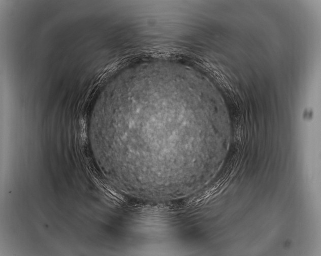 X0000100201106200805301303