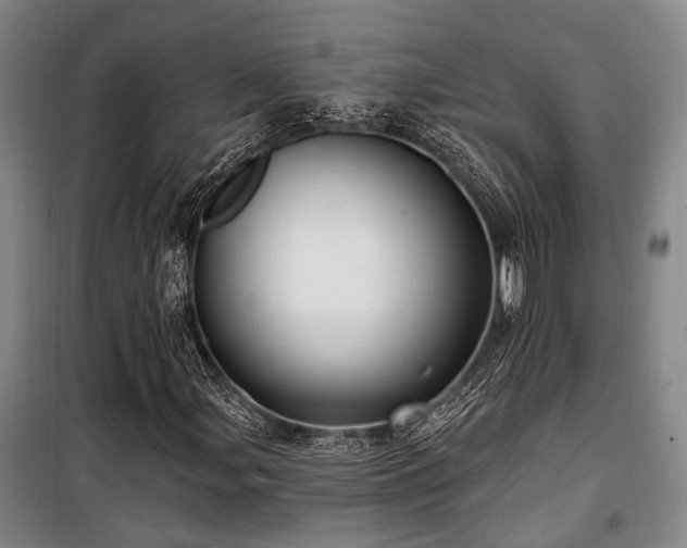 X0000100201107200805301303