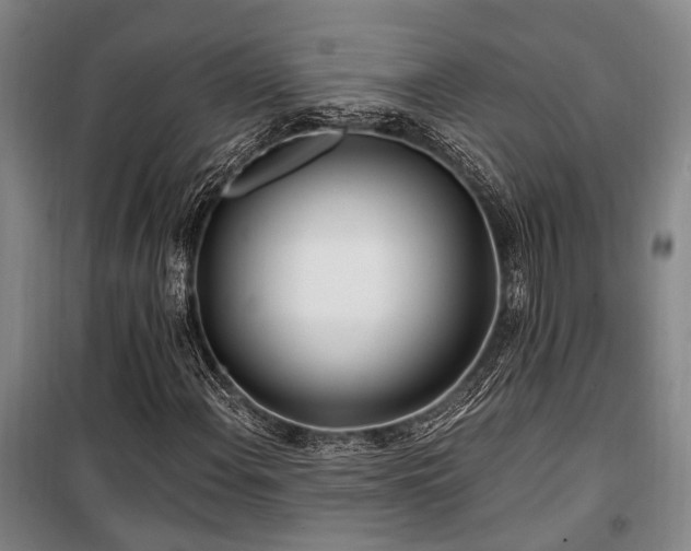 X0000100201108200805301304