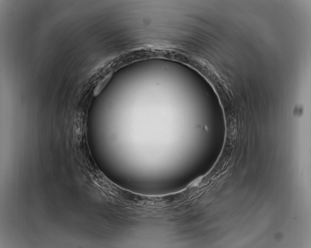 X0000100201110200805301304