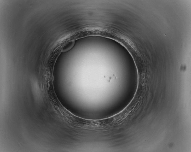 X0000100201111200805301304