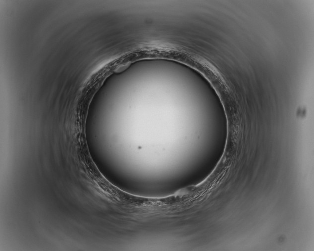 X0000100201112200805301304