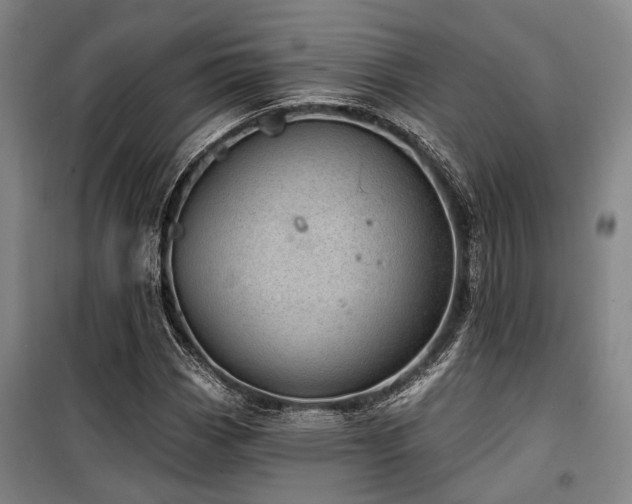 X0000100201113200805301304