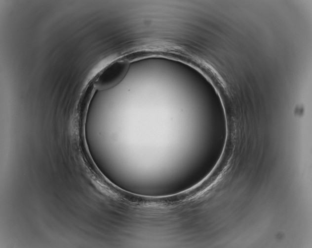 X0000100201114200805301304